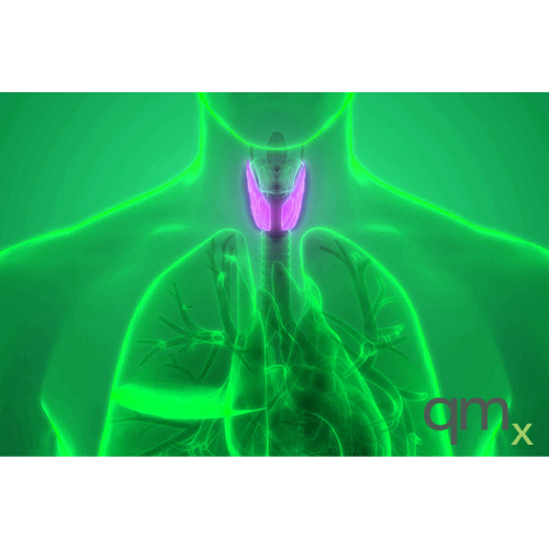 Thyroxines