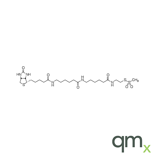 N-Biotinylcaproylaminocaproylaminoethyl Methanethiosulfonate, neat