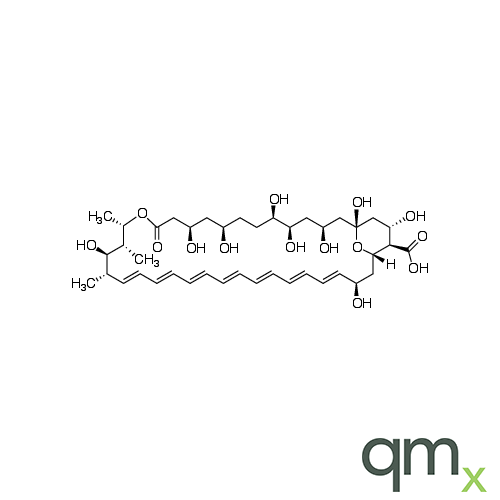Amphoteronolide B (>85%), neat