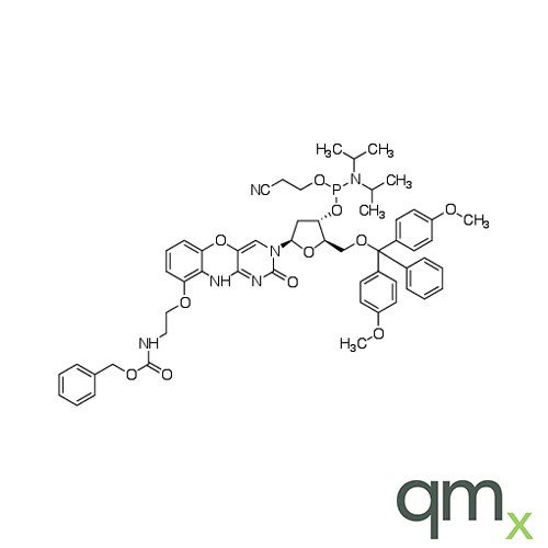 8-OxoG Clamp CEP, neat