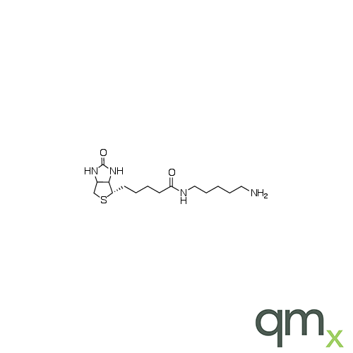 5-(Biotinamido)pentylamine, neat