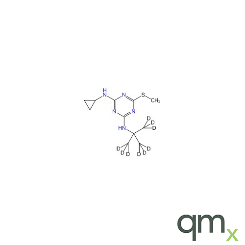Irgarol-d9 (tert-butyl-d9), neat