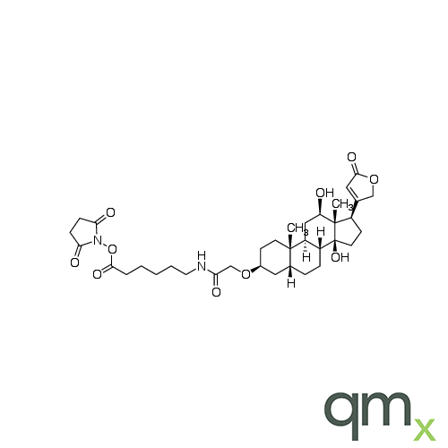 (3ÃŸ,5ÃŸ,12ÃŸ)-3-[2-[[6-[(2,5-Dioxo-1-pyrrolidinyl)oxy]-6-oxohexyl]amino]-2-oxoethoxy]-12,14-dihydroxycard-20(22)-enolide, neat