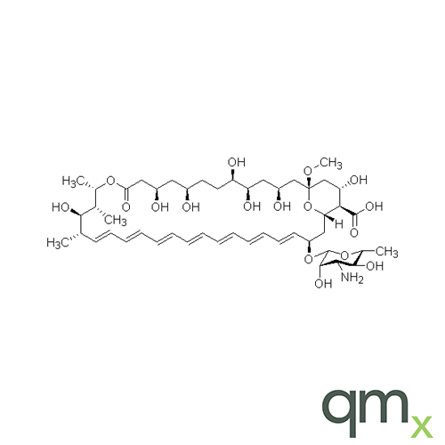 13-O-Methylamphotericin B (>85%), neat