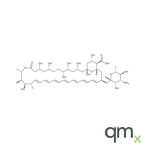 Amphotericin B, neat - A2S certified