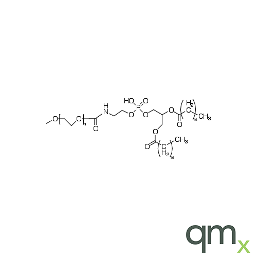 MPEG-2000-DSPE, neat