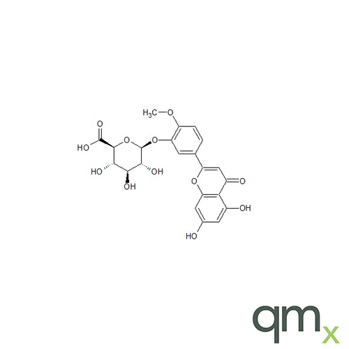 Diosmetin 3'-O-ÃŸ-D-glucuronide