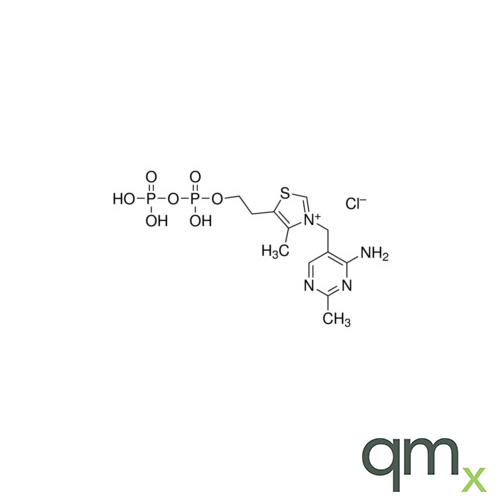 Vitamine B1 pyrophosphate Chloride, neat - A2S certified