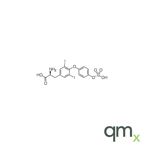 3,5-Diiodo-L-thyronine 4&acirc;-O-Sulfate, neat