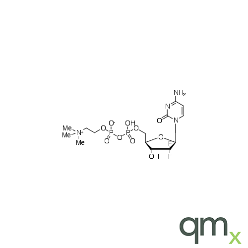 Gemcitabine Diphosphate Choline, neat
