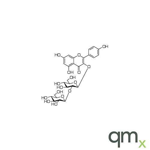 Kaempferol 3-ÃŸ-Sophoroside, neat