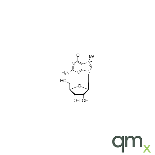 7-Methylguanosine, neat