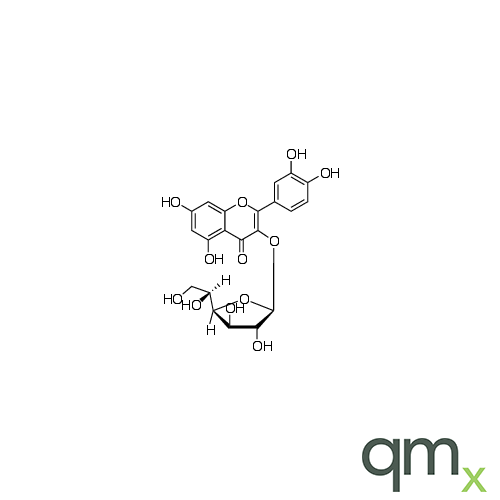 Isoquercitroside, neat