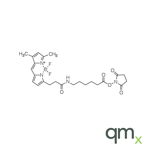 3-Bodipy-propanoylaminocaproic Acid, N-Hydroxysuccinimide Ester, neat