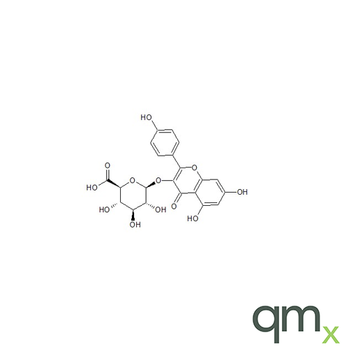 Kaempferol 3-O-ÃŸ-D-glucuronide