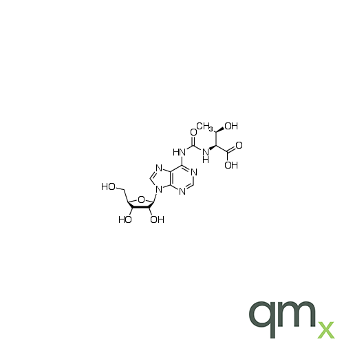 N6-(N-Threonylcarbonyl)adenosine, neat