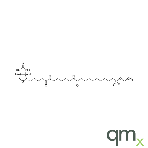 FP-Biotin(Mixture of Diastereomers), neat