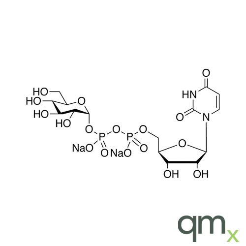 Uridine 5'-Diphosphoglucose Disodium Salt, neat