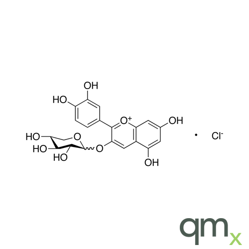 Cyanidin 3-Xyloside, neat