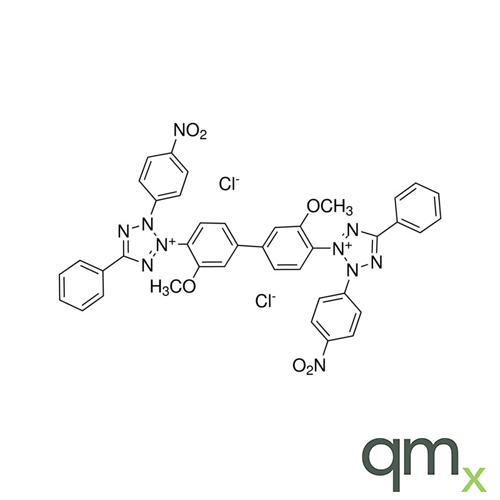 Nitro Blue Tetrazolium, neat - A2S certified