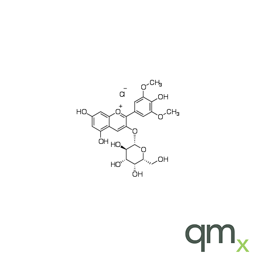 Malvidin 3-O-Galactoside, neat