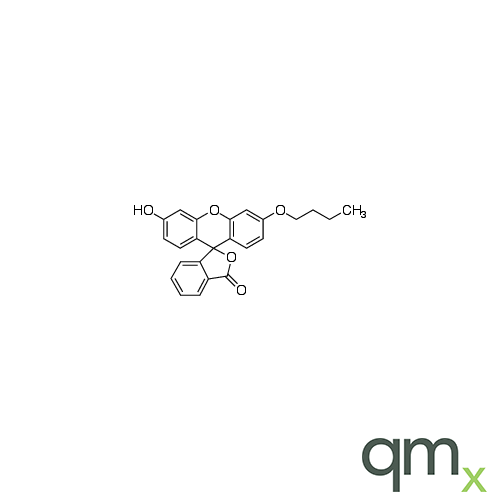 N-Butylfluorescein, neat