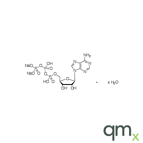 Adenosine 5â€™-Triphosphate Disodium Salt Hydrate, neat