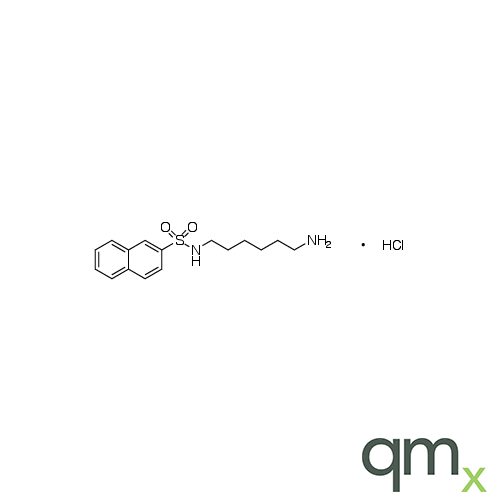 N-(6-Aminohexyl)-2-naphthalenesulfonamide Hydrochloride, neat