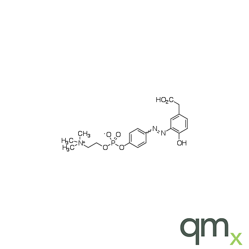 4-Hydroxy-3-(p-diazophenylphosphorylcholine) Phenylacetic Acid, neat