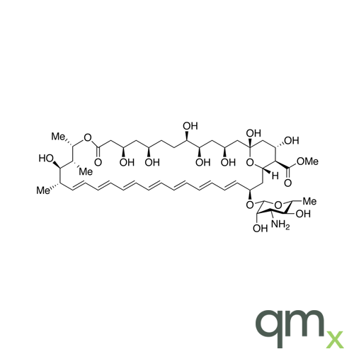 Amphotericin B Methyl Ester (>80%), neat