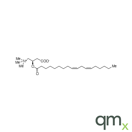 Linoleoyl Carnitine, neat