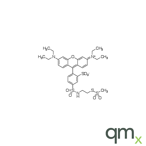 Sulfo Rhodamine Methanethiosulfonate, neat
