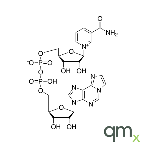 Nicotinamide 1,N6-Ethenoadenine Dinucleotide, neat