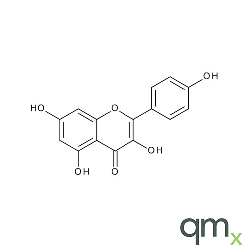 Kaempferol, neat - Ehrenstorfer