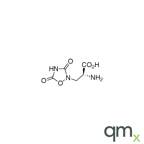 (+)-Quisqualic Acid, neat