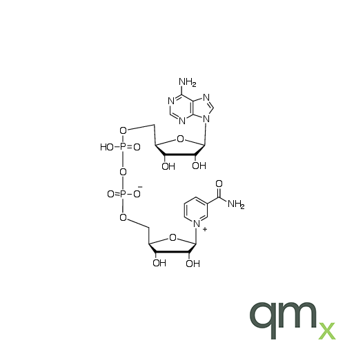 ÃŸ-Nicotinamide Adenine Dinucleotide, neat