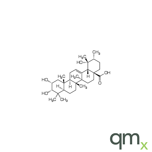 Euscaphic Acid, neat