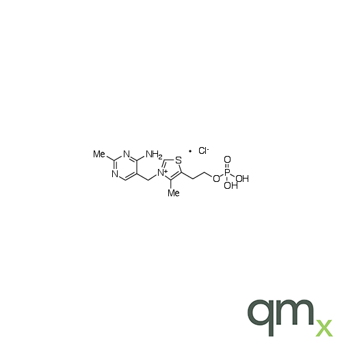 Vitamin B1 Monophosphate Chloride, neat