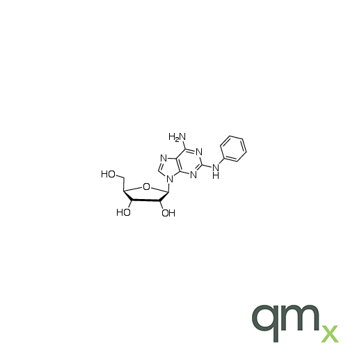 2-Phenylamino Adenosine, neat