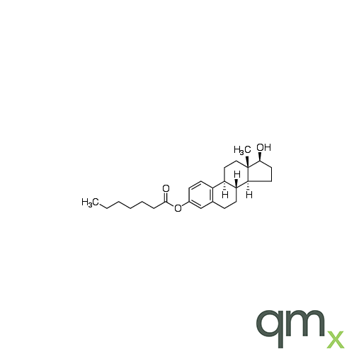 Estradiol 3-heptanoate, neat