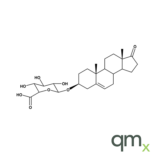 Dehydroepiandrosterone Glucuronide