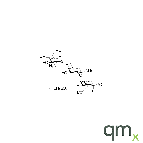Gentamicin X2 Sulfate, neat