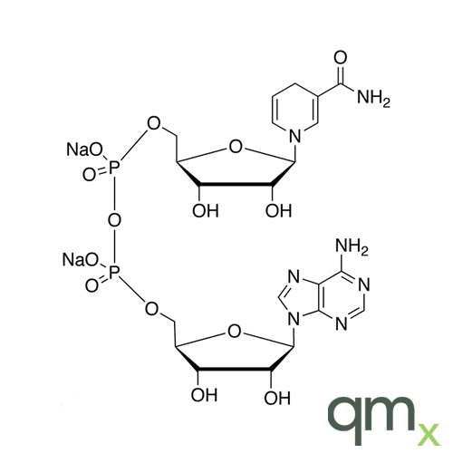 ÃŸ-NADH Disodium Salt, neat