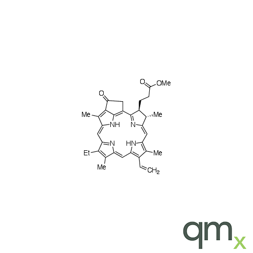 Pyropheophorbide A Methyl Ester, neat