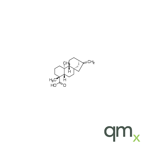 ent-Kaurenoic Acid, neat