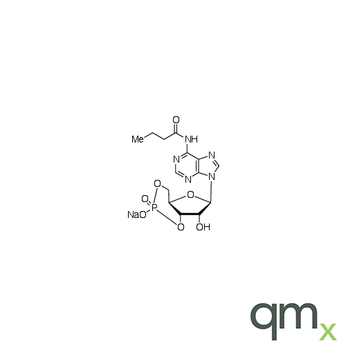 N6-Monobutyryladenosine 3â€™:5â€™-Cyclic Monophosphate Sodium Salt, neat