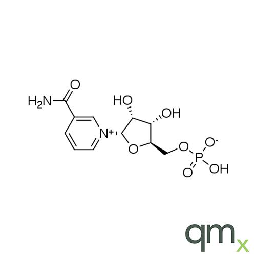 a-Nicotinamide Mononucleotide, neat