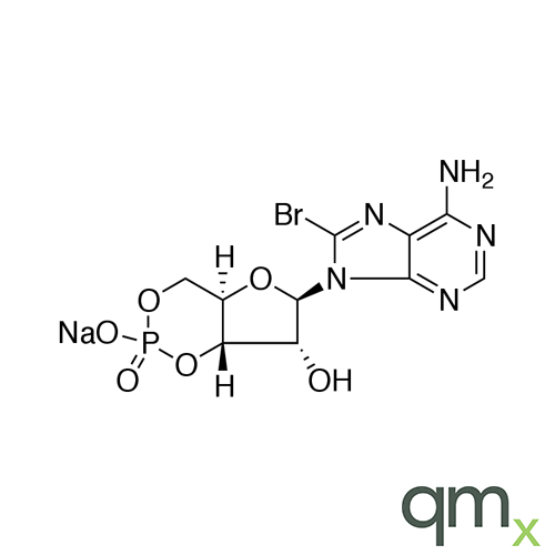 8-Bromo-cAMP Sodium Salt, neat
