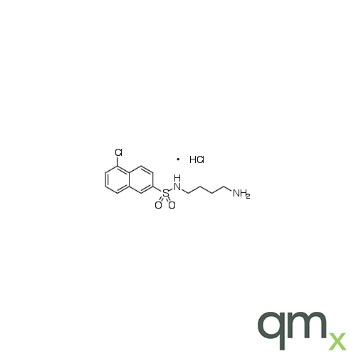 N-(4-Aminobutyl)-5-chloro-2-naphthalenesulfonamide Hydrochloride, neat