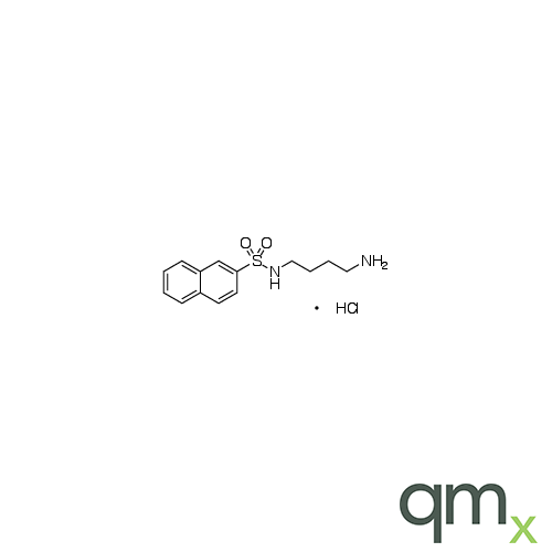 N-(4-Aminobutyl)-2-naphthalenesulfonamide Hydrochloride, neat